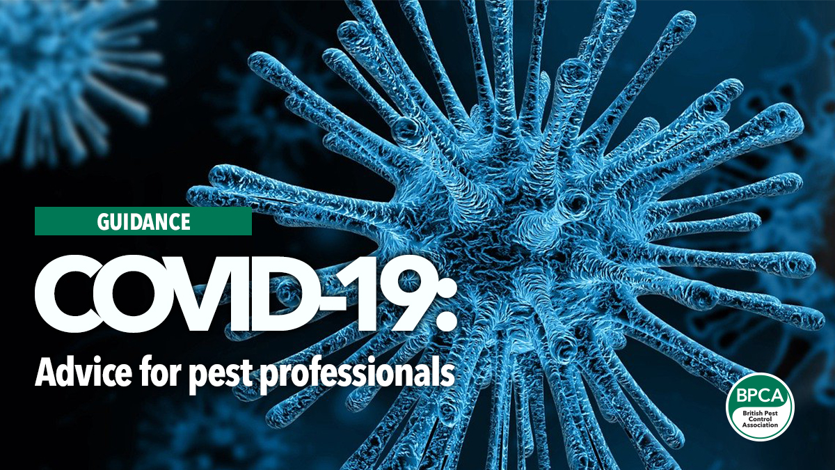 covid 19 advice for pest professioansl covid 19 advice for pest professioansl